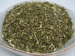 Katzenminze bio